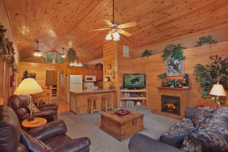 Bear Cave Cabin Rental