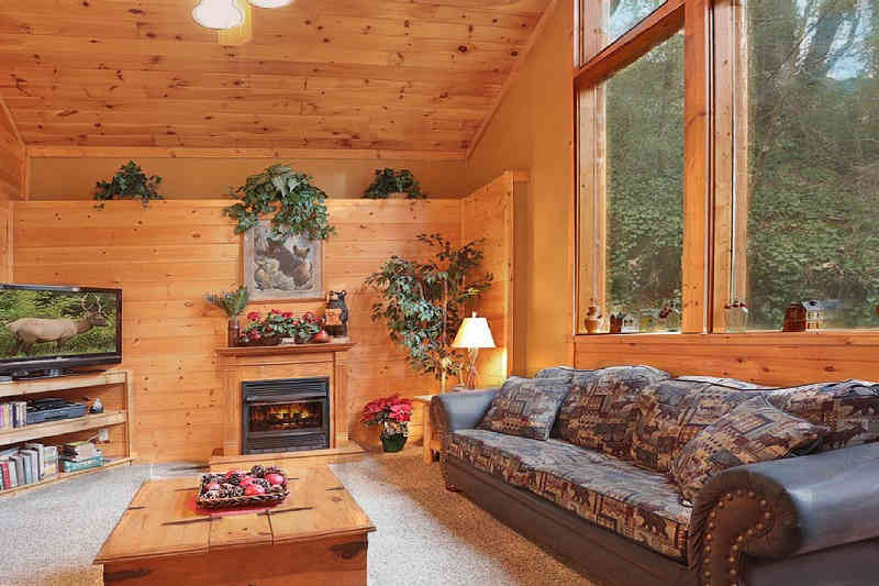 Bear Cave Cabin Rental