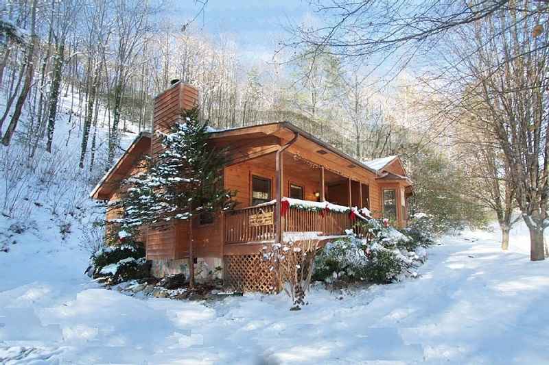 Bear Ridge Cabin| Golden Cabins