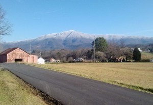 snow on cove mt