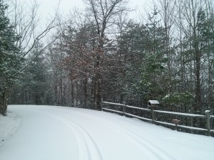 Road to Heaven's View before being plowed!