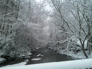 Creek near Campers Bearadise!