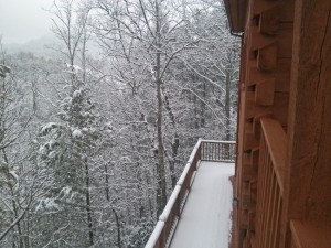 View off the back deck from the main level!