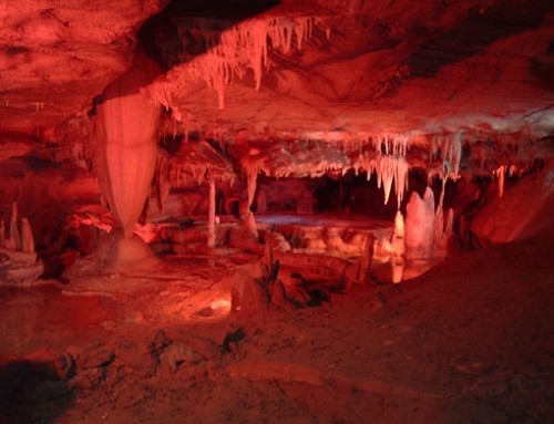 Forbidden Caverns | Sevierville, Tennessee