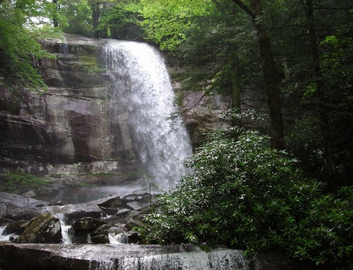 Rainbow Falls Trail