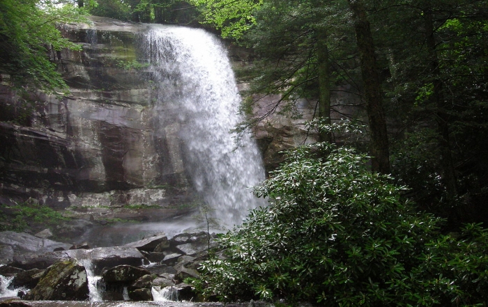 Rainbow Falls Trail