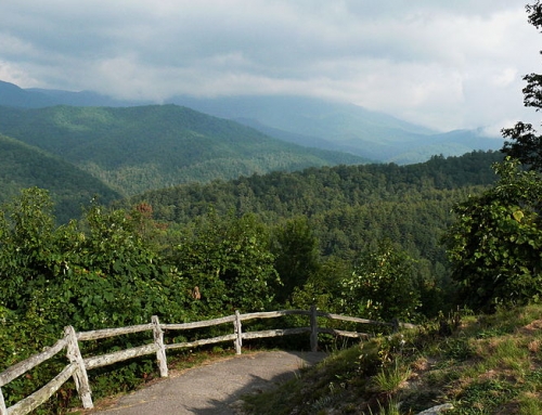 Boogerman Trail • in North Carolina