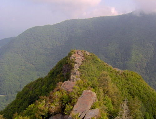 Chimney Tops