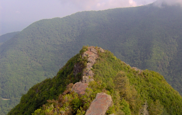 Chimney Tops