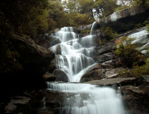 Ramsays Cascades Trail