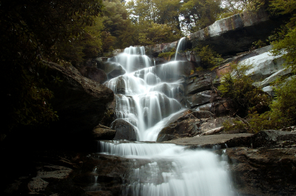 Ramsays Cascades Trail