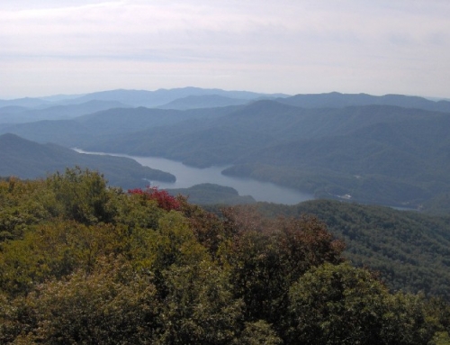 Shuckstack Tower Trail