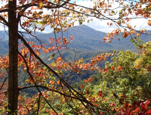 Great Smoky Mountain National Park