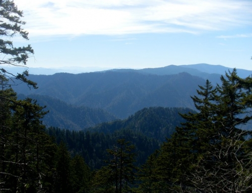 Mont LeConte Lodge • Great Smoky Mountains