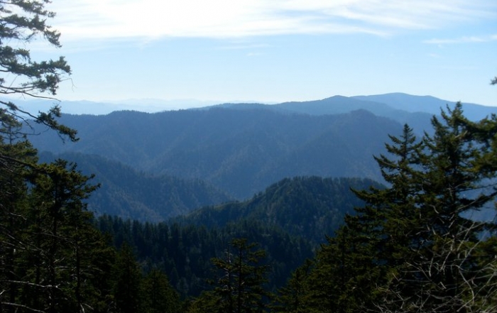 Mont LeConte Lodge