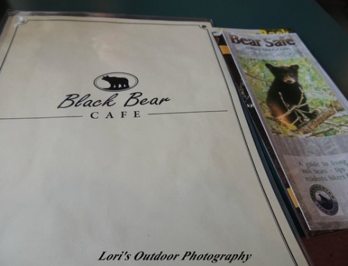 Black Bear Cafe