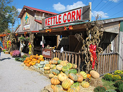 Harvest Moon General Store  Wears Valley, Tn