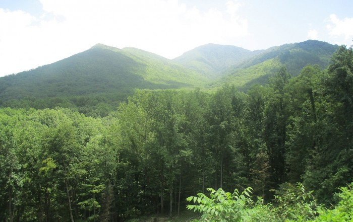 Carlos Campbell Overlook