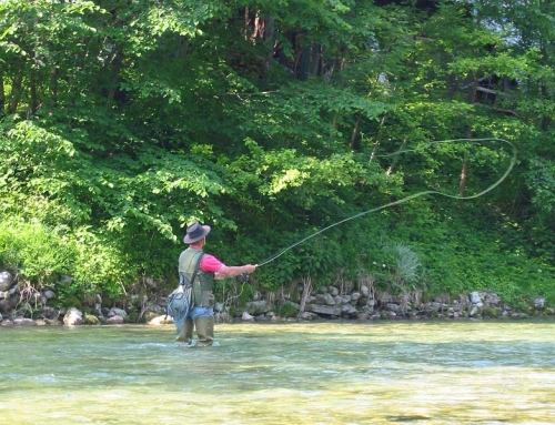 Fly Fishing / Smoky Mountains National Park